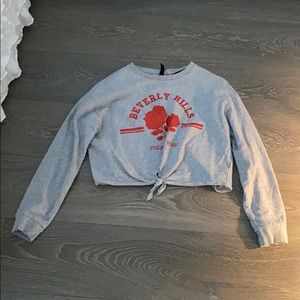 Grey Long Sleeve Crop Top Shirt